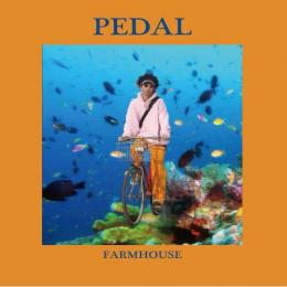 【DEADSTOCK】 FARMHOUSE / PEDAL