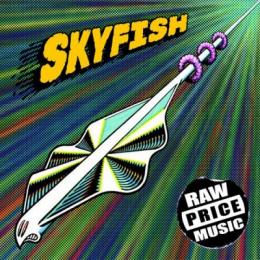 【￥↓】 【DEADSTOCK】 SKYFISH / RAW PRICE MUSIC