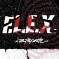 【DEADSTOCK】 THE FLEX UNITE / F.L.E.X. [CD]