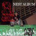 NEST / Up And Down [CD]
