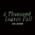 【予約】 KEN × DJ RIND / A Thousand Leaves Fall [CD] (5/13)