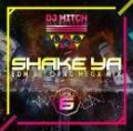 DJ Mitch a.k.a. Rocksta / SHAKE YA♪ -EDM & TOP40 MEGAMIX- VOL.6