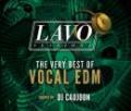 【￥↓】 DJ CAUJOON / LAVO session 4 -THE VERY BEST OF VOCAL EDM-