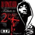 【DEADSTOCK】 DJ SPACE KID / TRIBUTE TO 2PAC CHAPTER.2