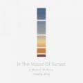 DJ FUJI / In The Mood Of Sunset -A Moment Of Peace-