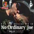B.I.G. JOE / NO ORDINARY JOE mixed by DJ KEN
