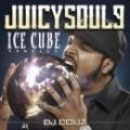 DJ COUZ / Juicy Soul Vol.9 -Ice Cube Samples-
