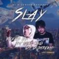 DJ GURI & DJ D-STREAM / SLAY