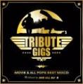 AV8 ALL DJ'S / TRIBUTE GIGS -MOVIE & ALL POPS BEST MIXCD- (2CD)