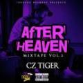 Cz TIGER / AFTER HEAVEN - Mixed By DJ GURI