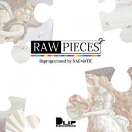 【DEADSTOCK】 NAGMATIC / RAW PIEACES 2