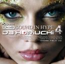 【￥↓】 DJ HORIUCHI / SOUND IN HYPE Vol.4