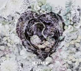 【DEADSTOCK】 B.I.G. JOE / HEARTBEAT (2CD)