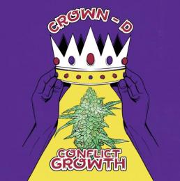 CROWN-D / CONFLICT GROWTH
