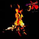 品theMIC / 旅 [7inch×2]