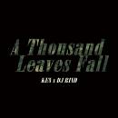 【予約】 KEN × DJ RIND / A Thousand Leaves Fall [CD] (5/13)