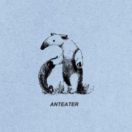 KIMA / Anteater