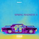 DJ KIYO / SPRING MADNESS 4 [CD]