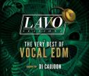 【￥↓】 DJ CAUJOON / LAVO session 4 -THE VERY BEST OF VOCAL EDM- [CD]