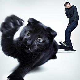 【DEADSTOCK】 環ROY / あっちとこっち [CD]