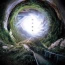 燈志籠 / 回天動地