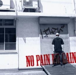 はなび / NO PAIN,NO GAIN