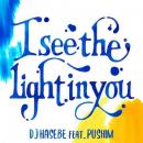 DJ HASEBE feat. PUSHIM / I see the light in you [7inch]