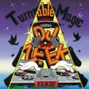 DJ ZEEK / Turntable Magic [CD]