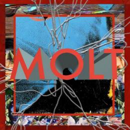 【￥↓】 MOLT / MOLT