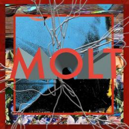 MOLT / MOLT [CD]
