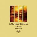 DJ FUJI / In The Mood Of Sunset -Autumn-