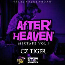 Cz TIGER / AFTER HEAVEN - Mixed By DJ GURI
