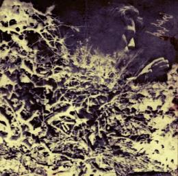 志人 / 怪譚奇譚 「マツゑツタヱ」