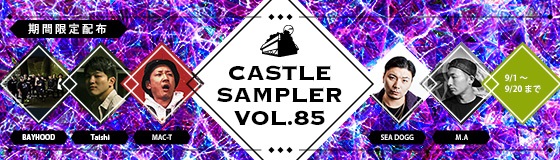 sampler85.jpg